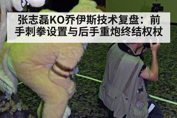 张志磊KO乔伊斯技术复盘:前手刺拳设置与后手重炮终结权杖
